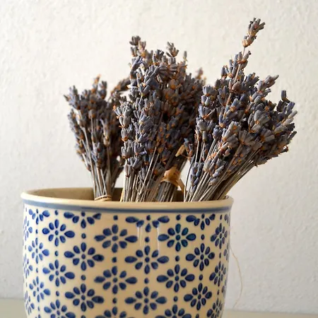 La Casa Pugliese Bed and breakfast Foggia
